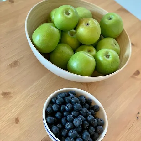 Reethus Linda Groß Schwansee