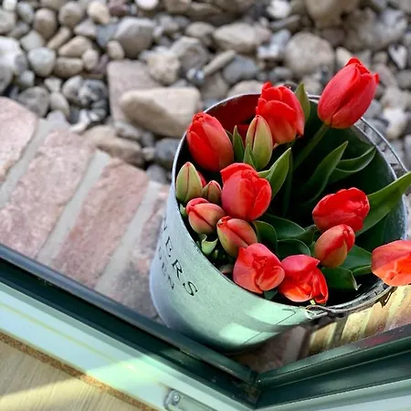 Reethus Linda * Groß Schwansee