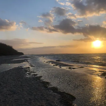 Reethus Linda Groß Schwansee