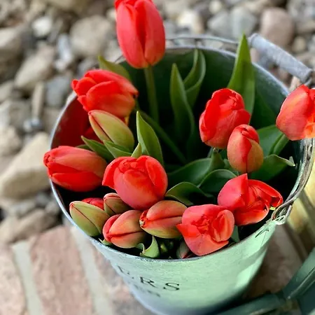 Ferienhaus Reethus Linda